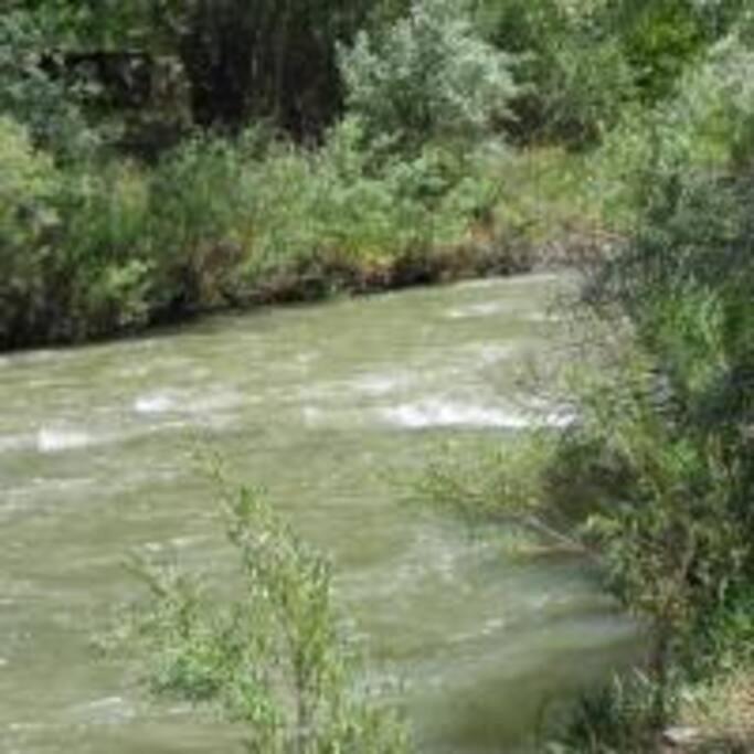 Quiet Full-Size Bed Close To Town 420 Friendly Trinidad Εξωτερικό φωτογραφία